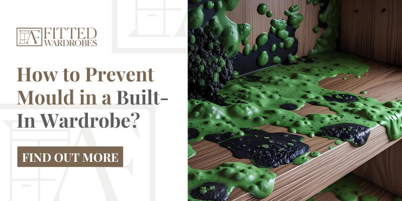 Blog graphic showing a mould-infested wardrobe shelf alongside the title 'How to Prevent Mould in a Built-In Wardrobe' and a CTA button.